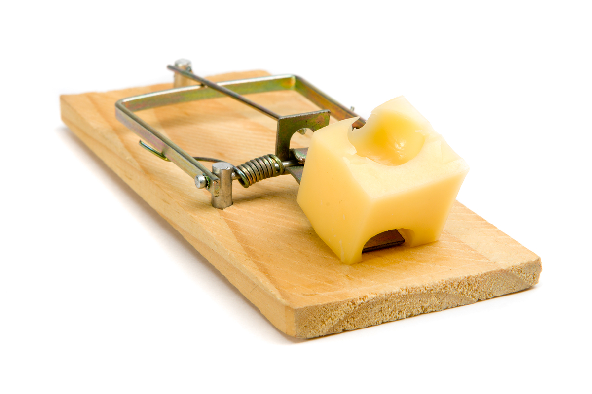 better mousetrap